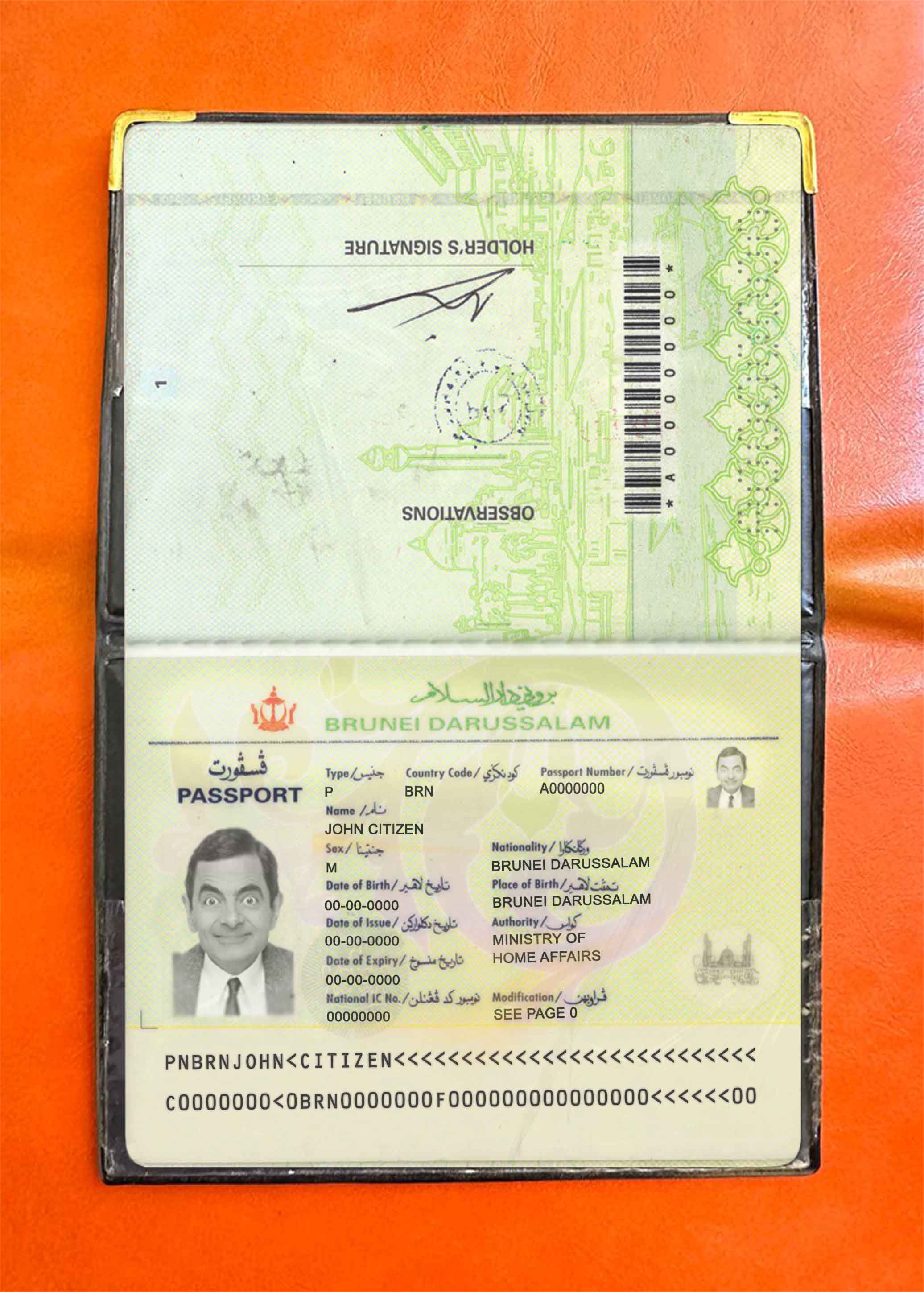 Brunei pass photo look PSD template